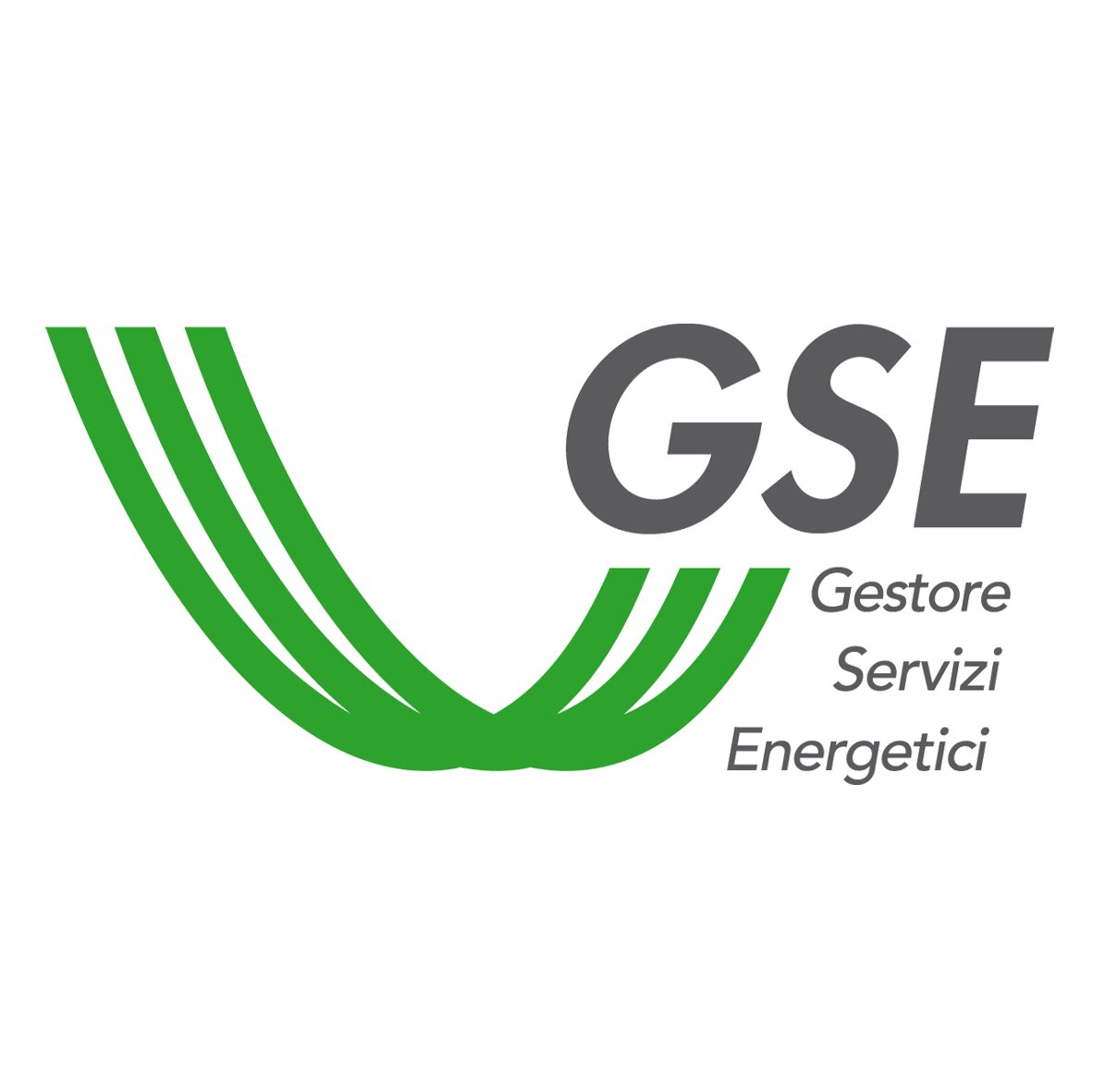 Logo_GSE-copia